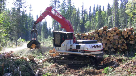HD PC desktop wallpaper: Link-Belt construction vehicle excavator with log grapple lifting felled trees beside a stacked log pile in a forest clearing.