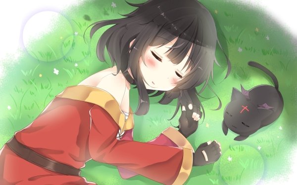 Anime KonoSuba - God’s blessing on this wonderful world!! Megumin Chomusuke HD Wallpaper | Background Image
