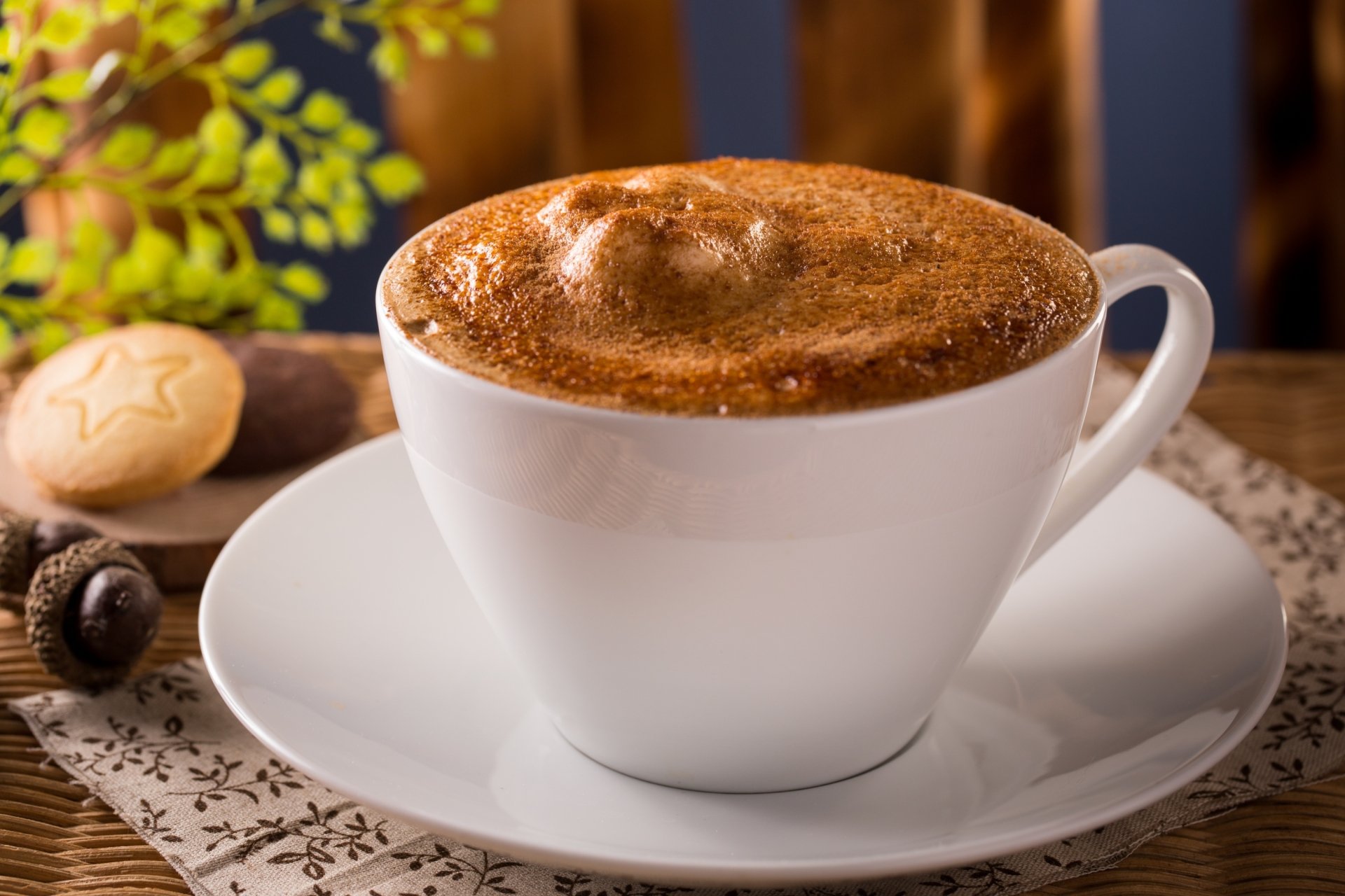 Frothy coffee in a white cup on a saucer with cookies and greenery — 2K Quad HD PC desktop wallpaper/background.