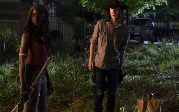 Danai Gurira Michonne (The Walking Dead) Carl Grimes Chandler Riggs TV Show The Walking Dead HD Desktop Wallpaper | Background Image
