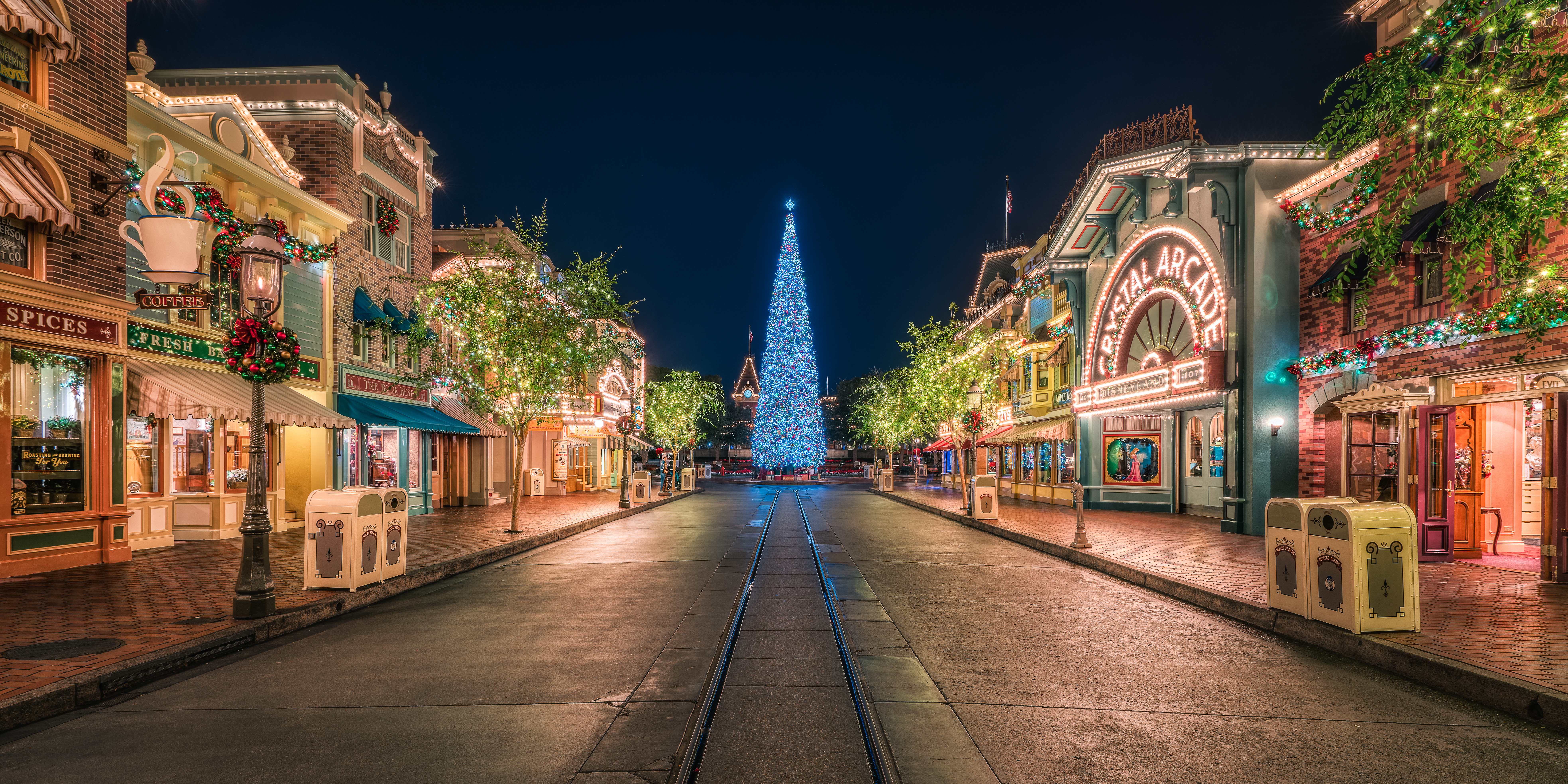 Disneyland Resort, in Anaheim, California at Christmas by Justin Brown