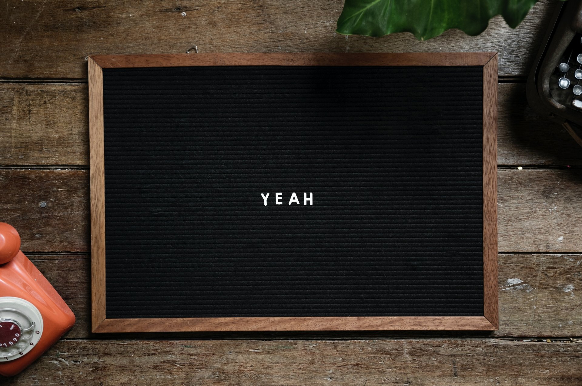 Download Frame Blackboard Photography Still Life 4k Ultra HD Wallpaper