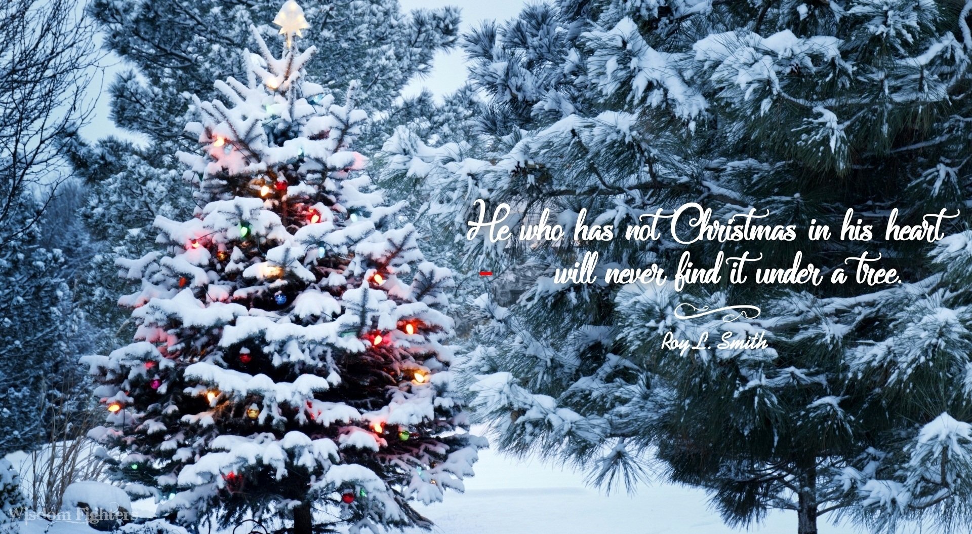 HD Christmas-themed desktop wallpaper featuring a snow-covered tree with colorful lights and a motivational quote about the true spirit of Christmas.