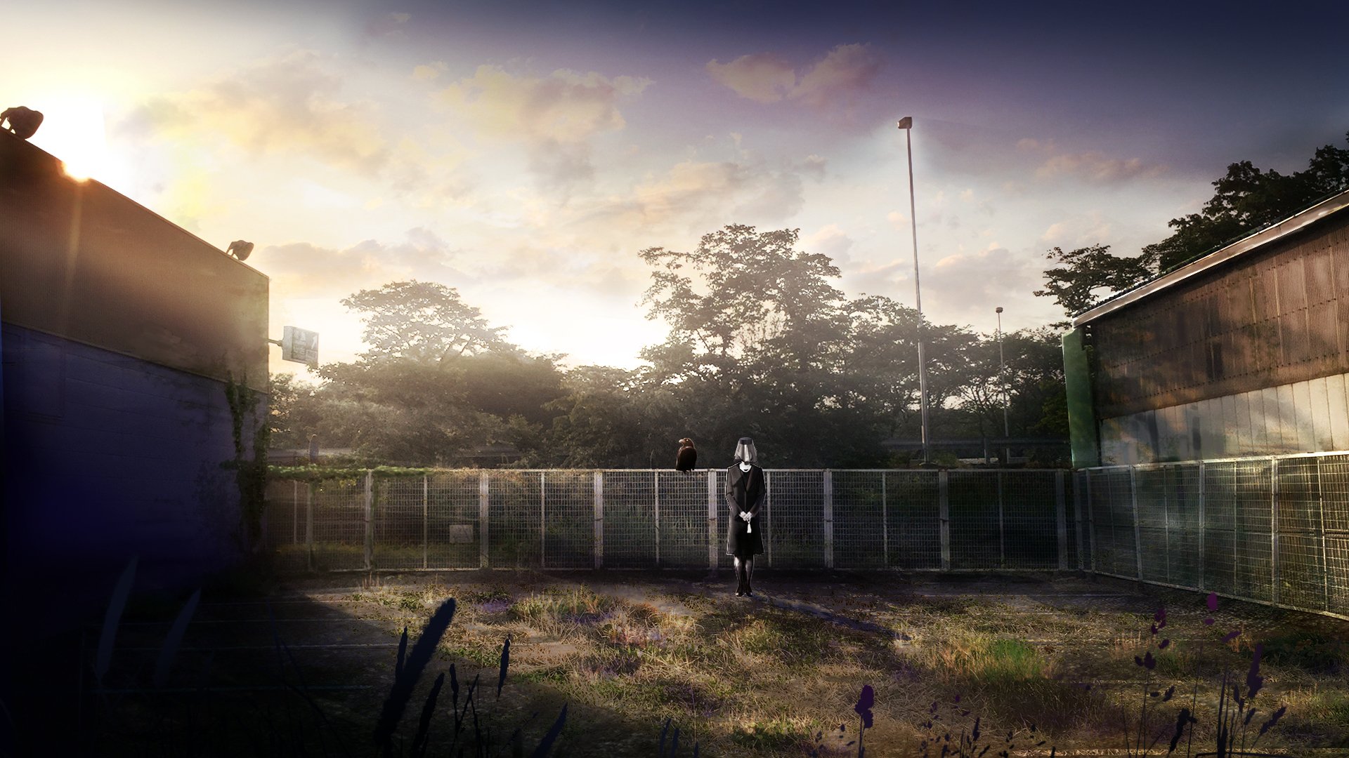 HD anime-style desktop wallpaper depicting a lonely, abandoned tree in a fenced area with soft sunlight breaking through a cloudy sky.