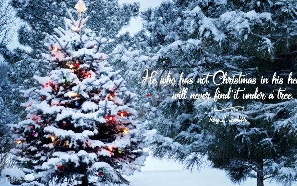 Misc Quote Christmas Motivational HD Wallpaper | Background Image