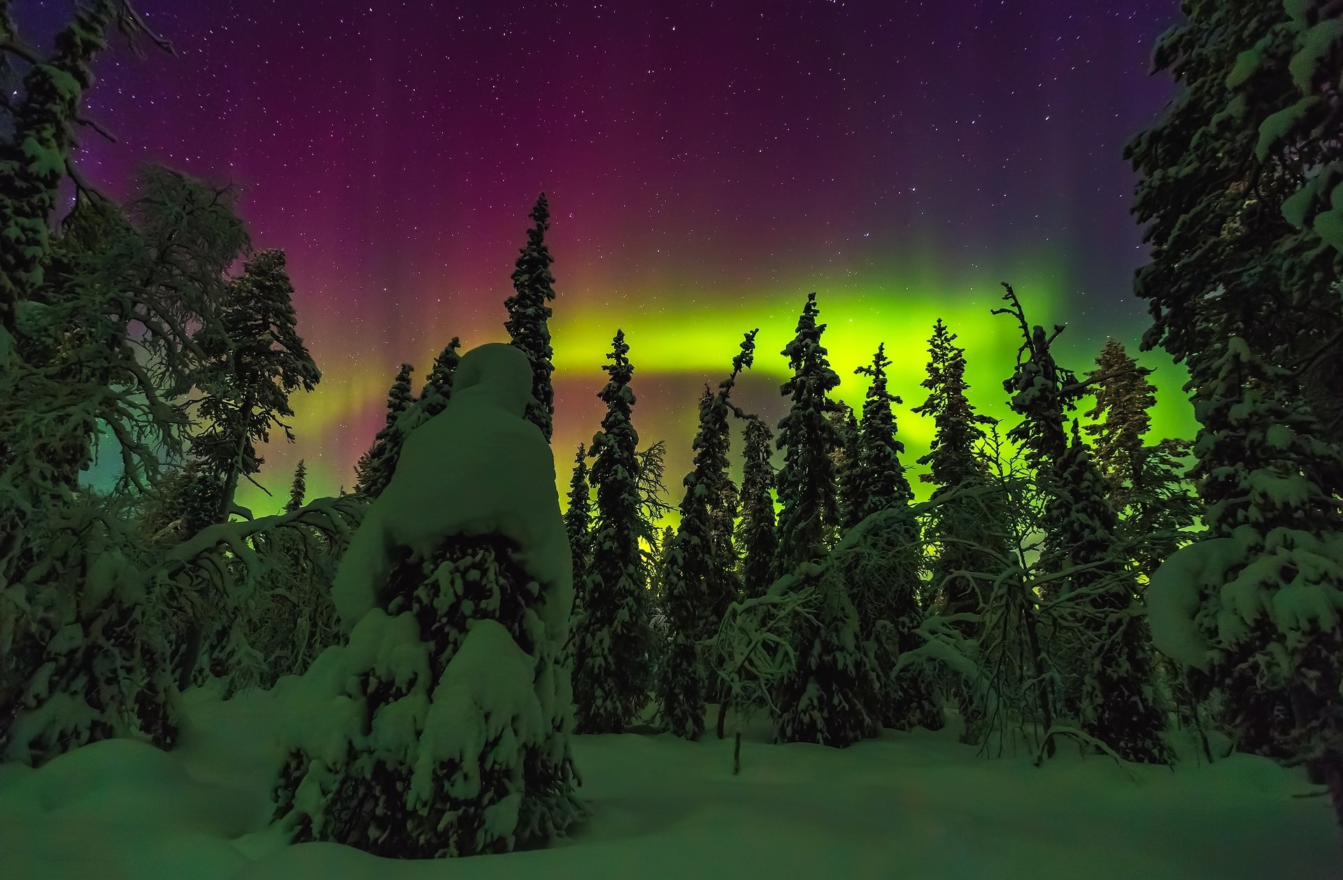 Nature Aurora Borealis HD Wallpaper