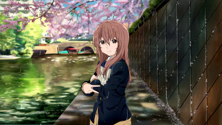 HD desktop wallpaper of Shouko Nishimiya from A Silent Voice anime, standing by a river with cherry blossoms in the background.