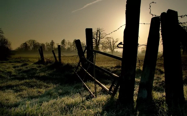 A tranquil HD wallpaper featuring a rustic wooden fence silhouetted against a misty sunrise, surrounded by lush grass and trees in the background.