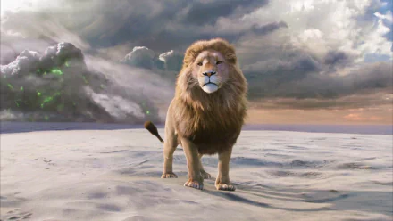 HD desktop wallpaper featuring a majestic lion standing on a snowy landscape, inspired by The Chronicles of Narnia: The Lion, the Witch and the Wardrobe movie.