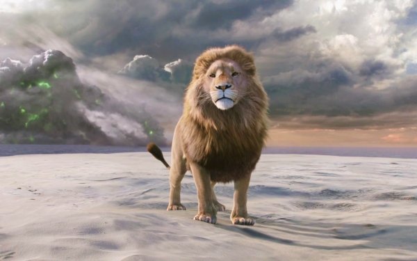 Film The Chronicles of Narnia: The Lion, the Witch and the Wardrobe The Chronicles of Narnia: The Lion the Witch and the Wardrobe Lion Fond d'écran HD | Image