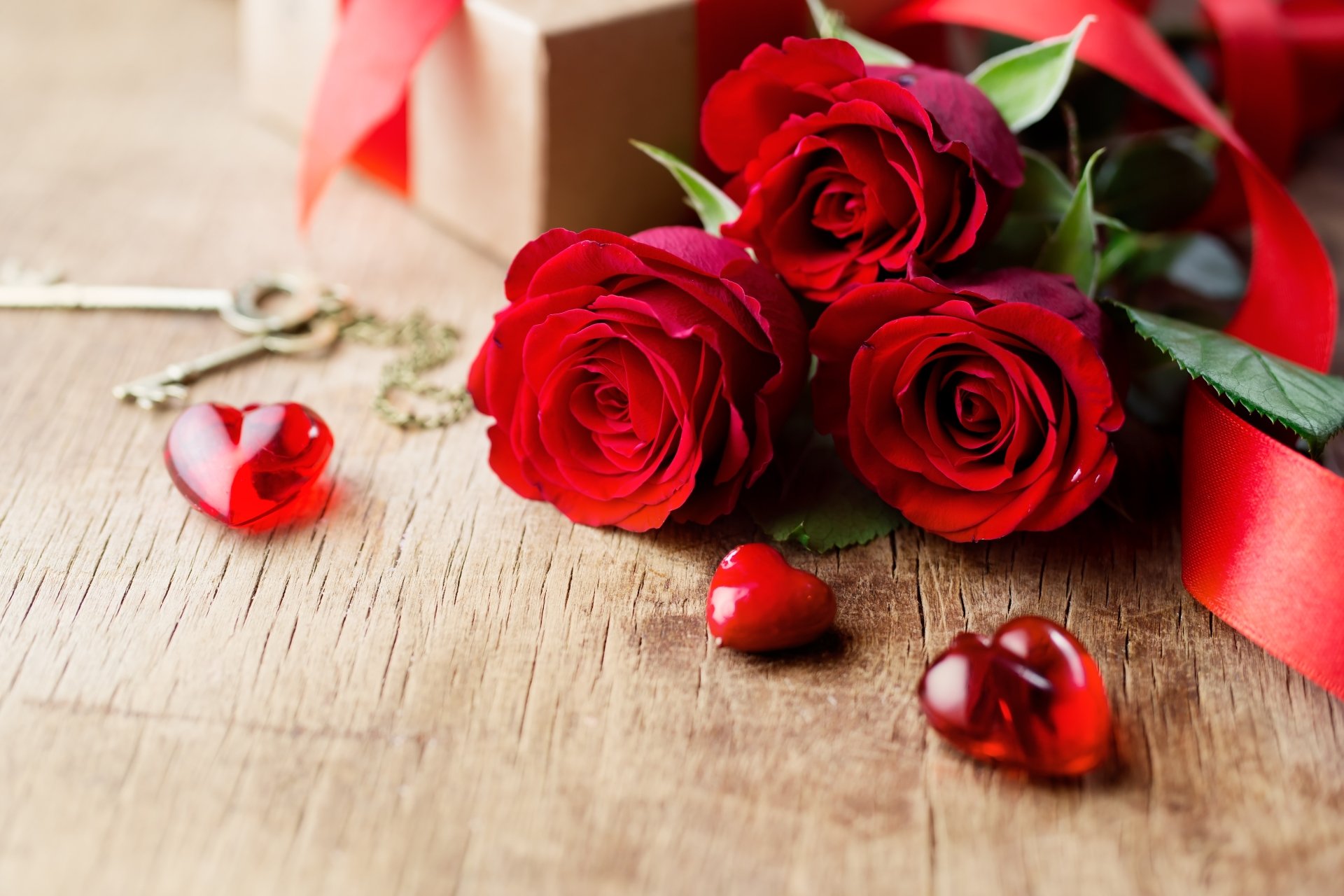 Download Still Life Red Rose Heart Red Flower Rose Holiday Valentine's ...