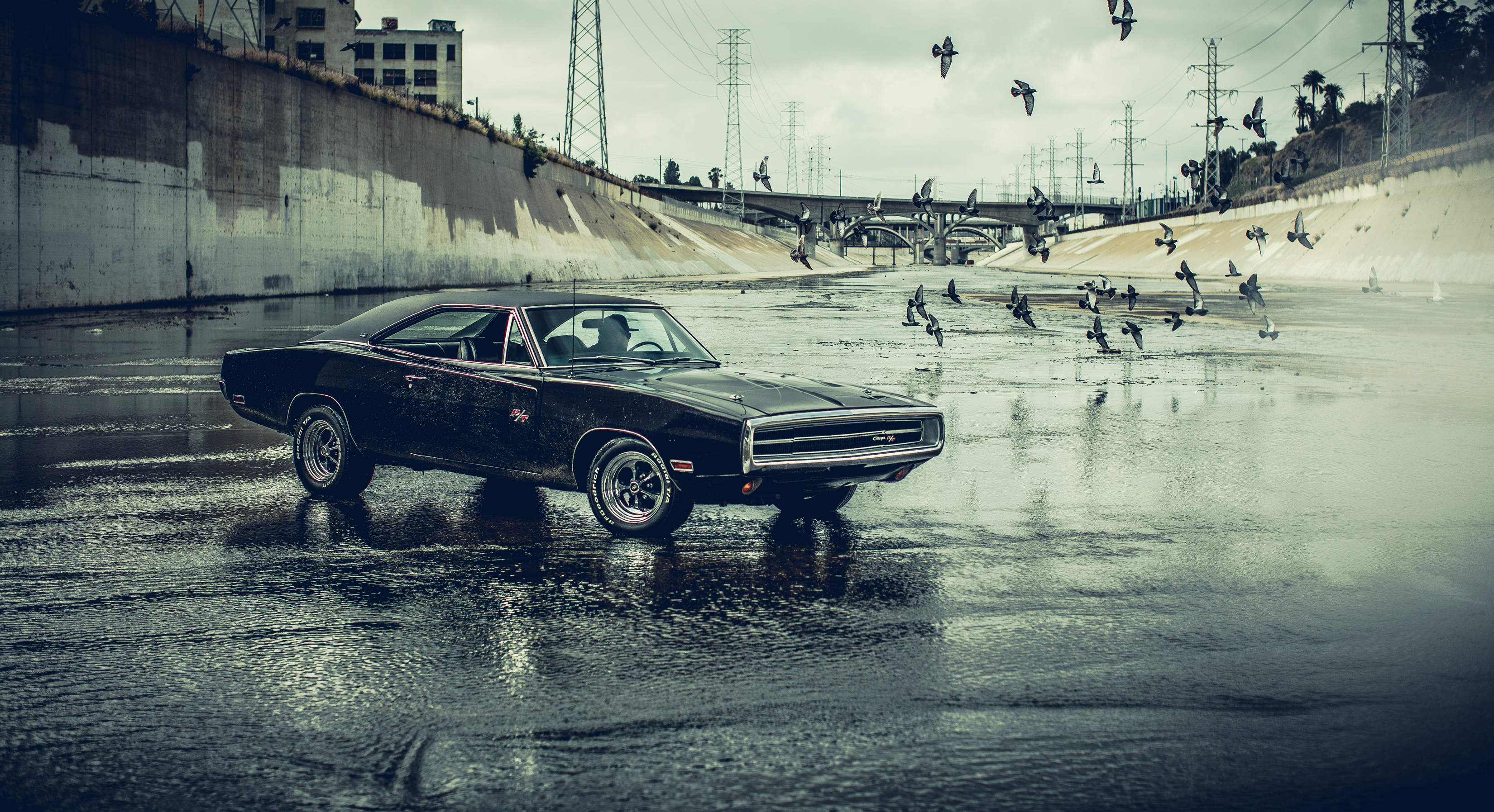 120+ Dodge Charger HD Wallpapers and Backgrounds