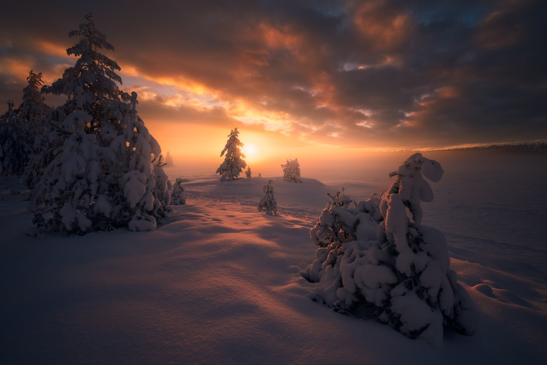 Download Sunrise Cloud Tree Snow Nature Winter HD Wallpaper