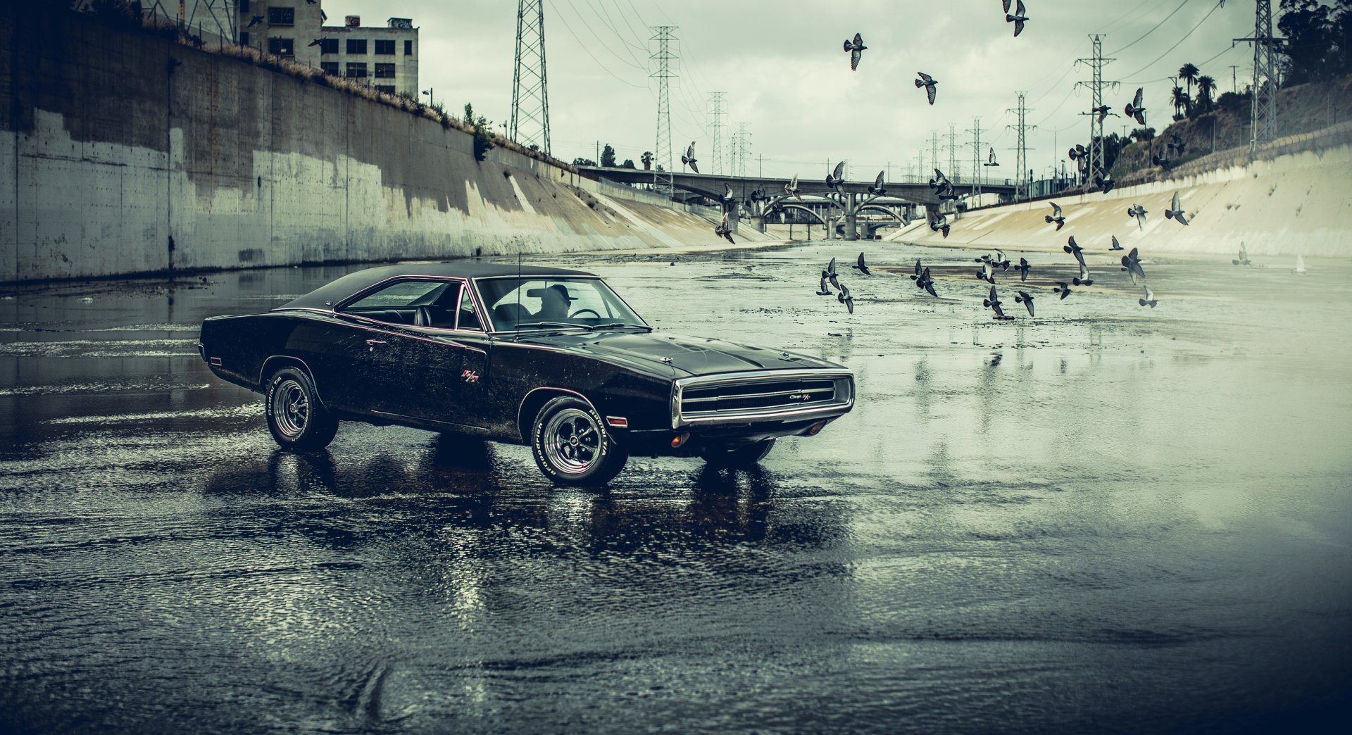 A black Dodge Charger parked in a shallow water channel with a flock of birds flying overhead, captured in an urban industrial setting as an HD desktop wallpaper.