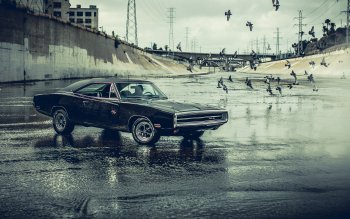 118 Dodge Charger Hd Wallpapers Background Images Wallpaper Abyss