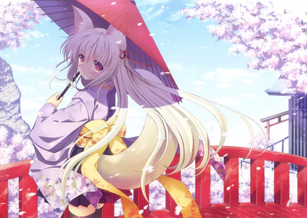 HD anime girl wallpaper featuring a girl with fox ears and long white hair, holding a red parasol, set against a backdrop of cherry blossoms and a bright sky.