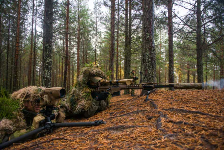 Soldier in camouflage armed with a sniper rifle in a dense forest, creating a tactical and intense military scene. HD desktop wallpaper and background.