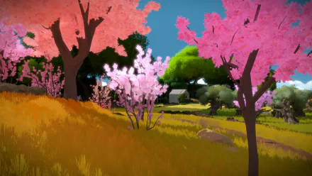 video game The Witness HD Desktop Wallpaper | Background Image