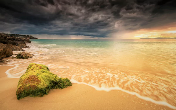 HD wallpaper of a Sardinian beach in Italy, showcasing the horizon with dramatic clouds, a serene sea merging with the sandy coast, and green moss-covered rocks in the foreground.
