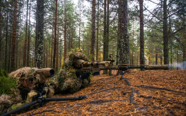 Soldier in camouflage armed with a sniper rifle in a dense forest, creating a tactical and intense military scene. HD desktop wallpaper and background.