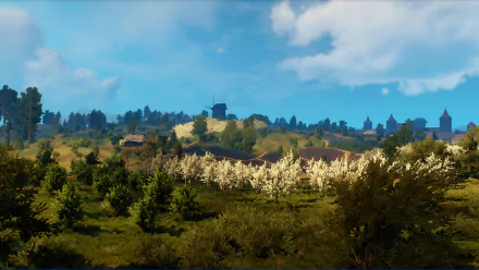 HD PC desktop wallpaper featuring a scenic landscape from the video game The Witcher 3: Wild Hunt, showcasing lush greenery and distant buildings under a bright sky.