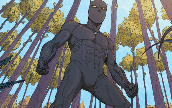 Black Panther (Movie) Black Panther (Marvel Comics) Comic HD Desktop Wallpaper | Background Image
