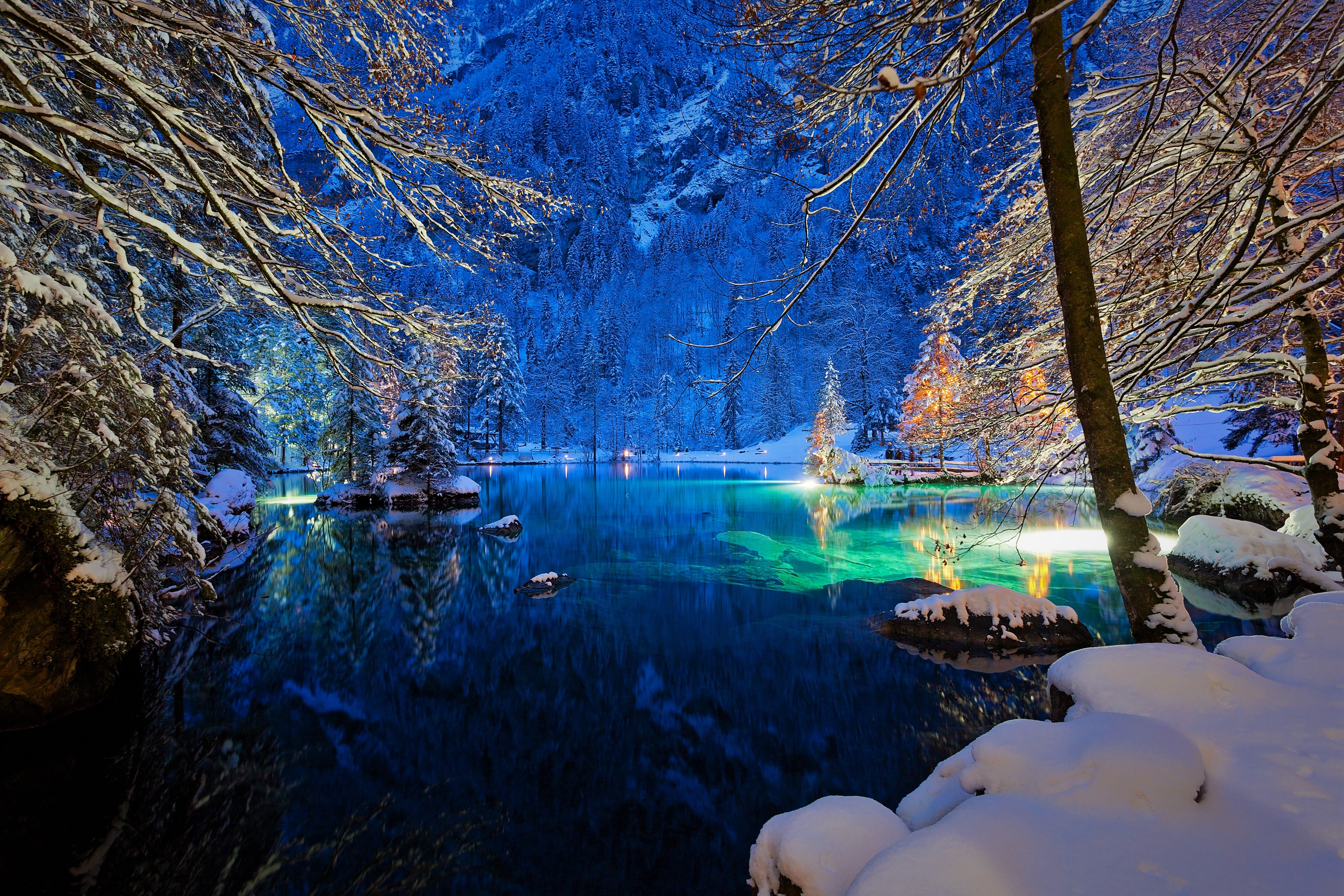 Snowy Trees on Lake in Switzerland