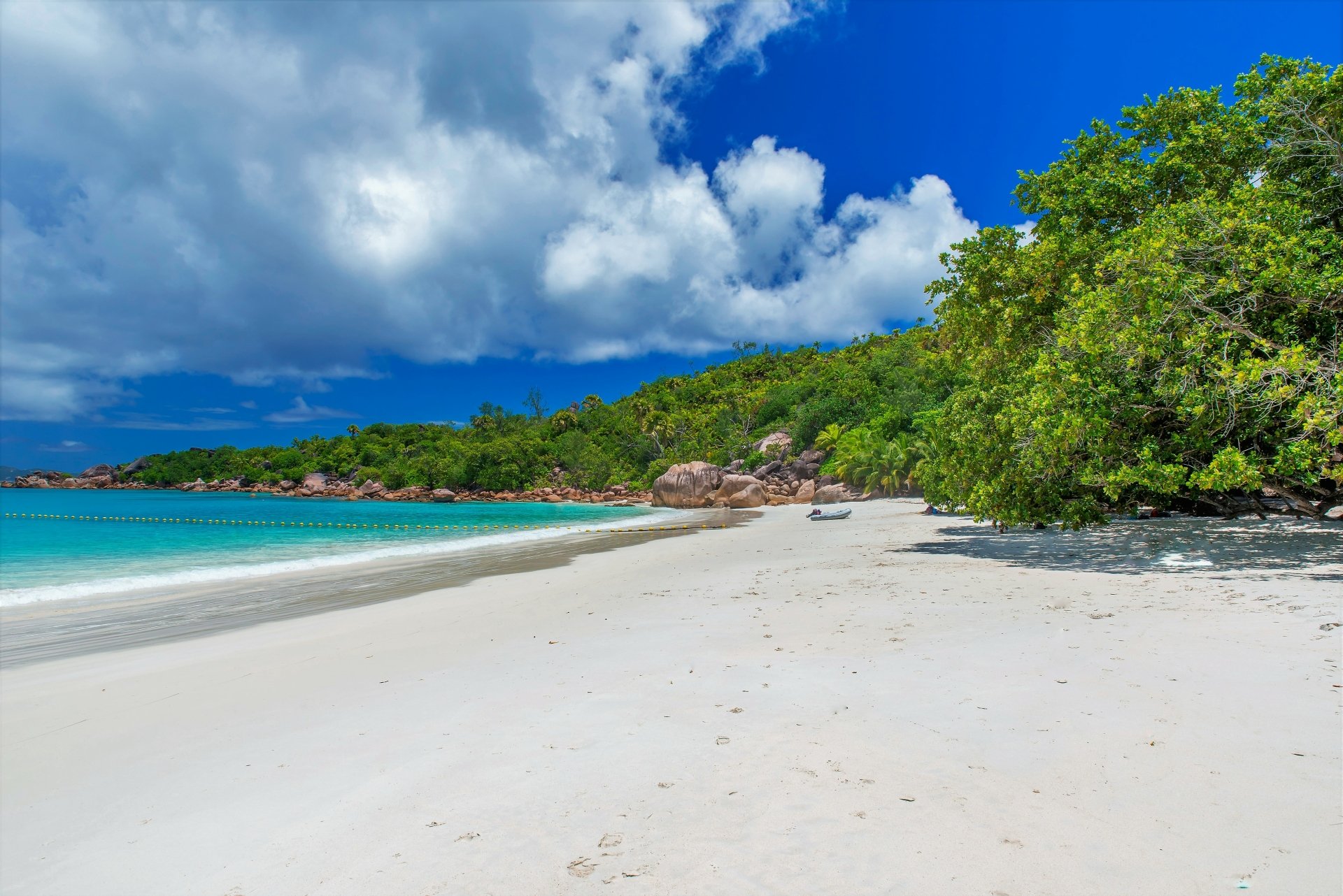 Download Tree Tropical Nature Beach Tropical Beach 4k Ultra HD Wallpaper