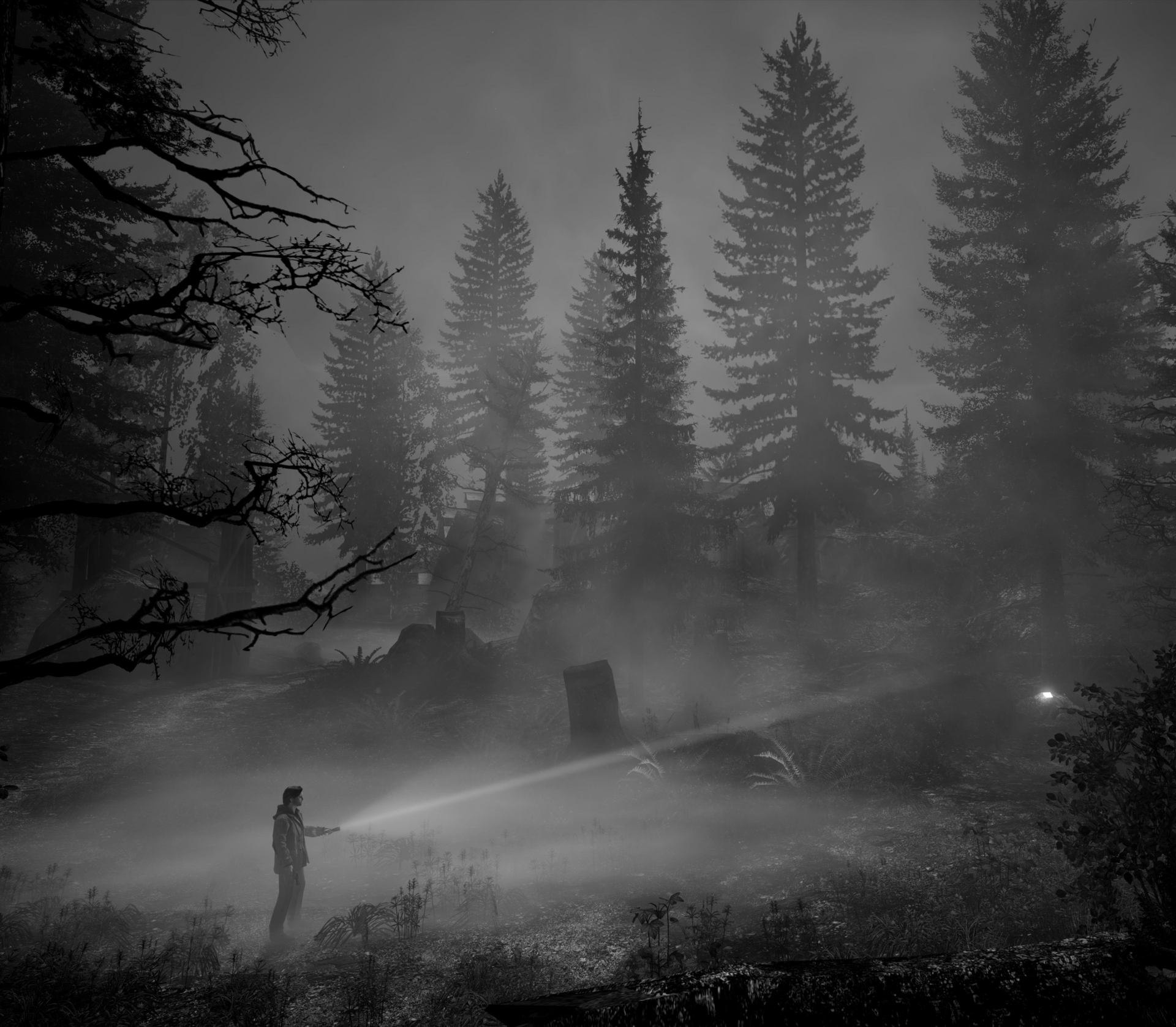 Download Video Game Alan Wake HD Wallpaper by HodgeDogs