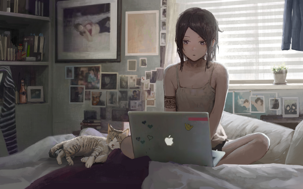 Anime Original Cat Laptop HD Wallpaper | Background Image