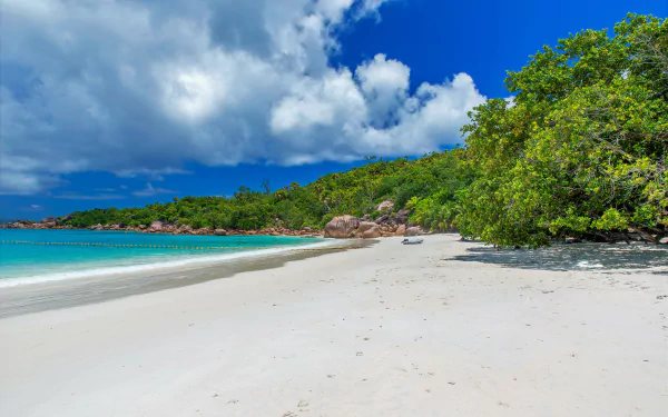  Tropical Beach