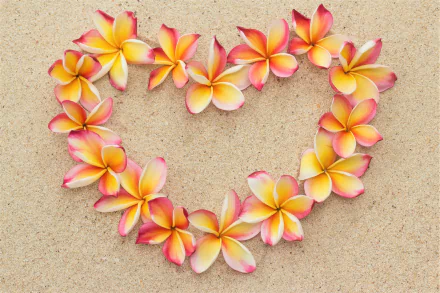  Plumeria Heart in the Sand