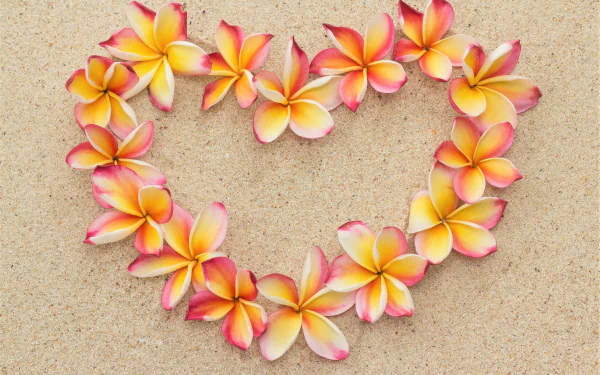  Plumeria Heart in the Sand