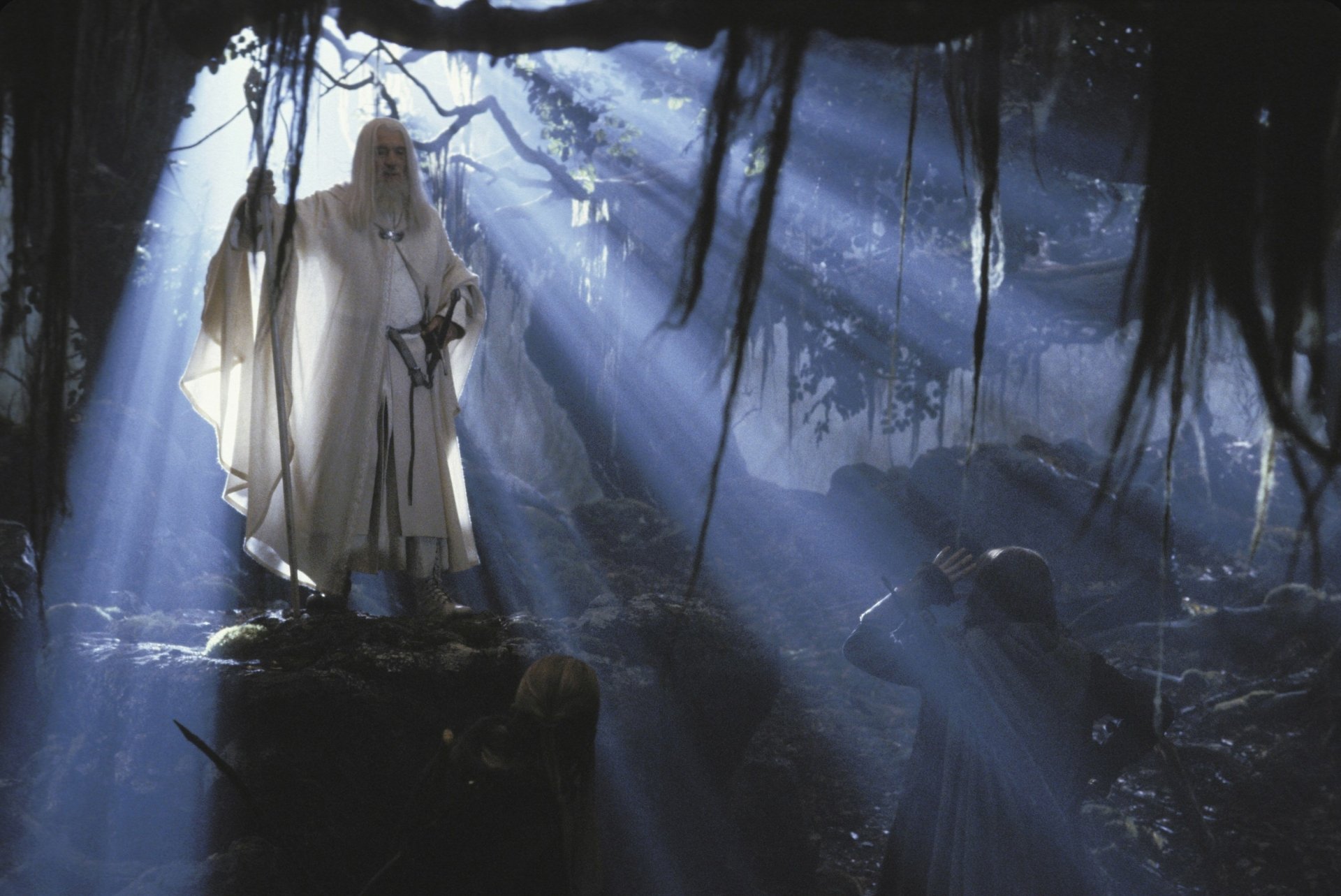 Download Ian McKellen Gandalf Movie The Lord Of The Rings: The Two Towers  HD Wallpaper