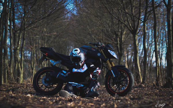 Man in helmet crouches beside a Yamaha motorcycle in a leaf-strewn forest — moody motorcycle photography, 2K Quad HD PC desktop wallpaper and background.