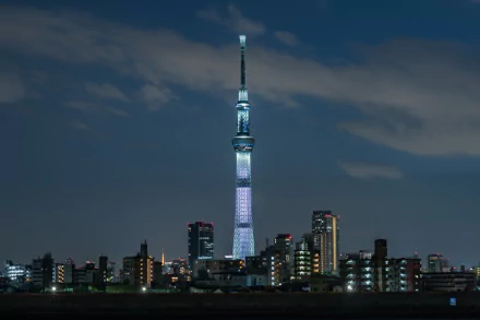 Night view of Tokyo Skytree towering over Tokyo's cityscape, showcasing the illuminated skyscraper against a dark sky in this HD Japan desktop wallpaper.