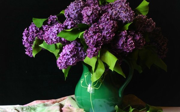 Photography Still Life Vase Pitcher Flower Lilac Leaf Purple Flower HD Wallpaper | Background Image
