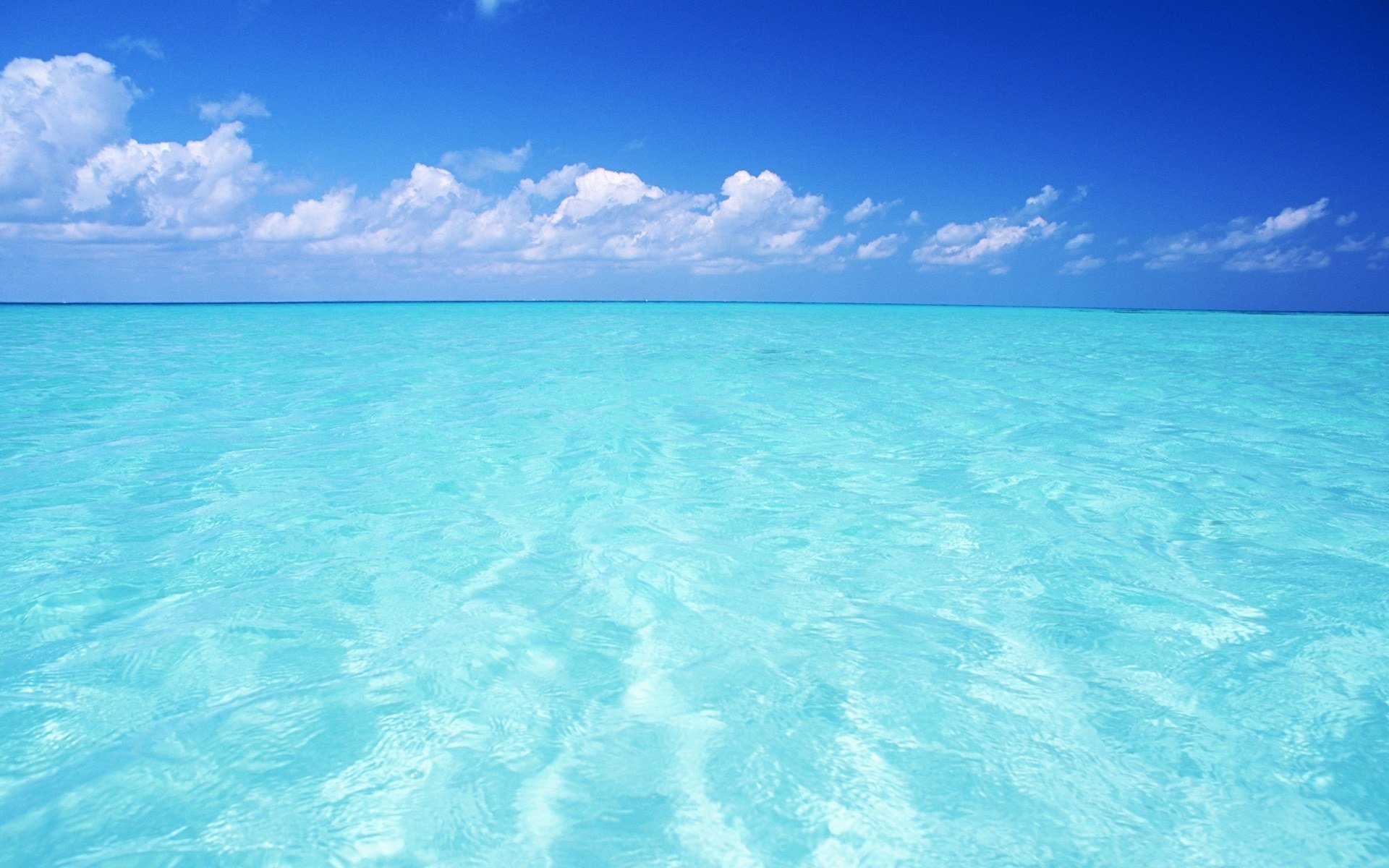 Download Horizon Tropical Tropics Blue Sky Turquoise Sea Nature Ocean  HD Wallpaper