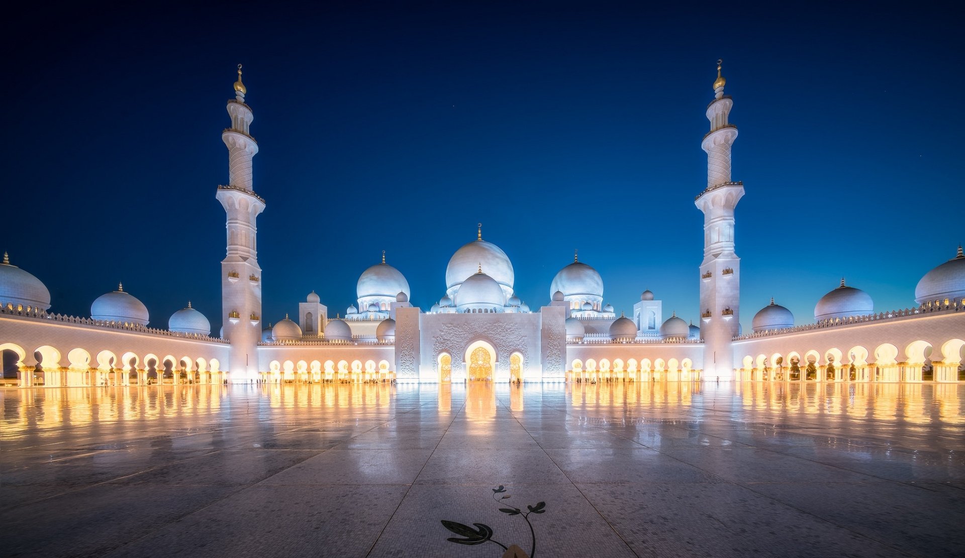 Download Abu Dhabi United Arab Emirates Architecture Building Night
