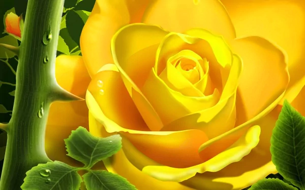 HD artistic desktop wallpaper featuring a vibrant yellow rose in full bloom, surrounded by green leaves and raindrops enhancing the natural beauty.