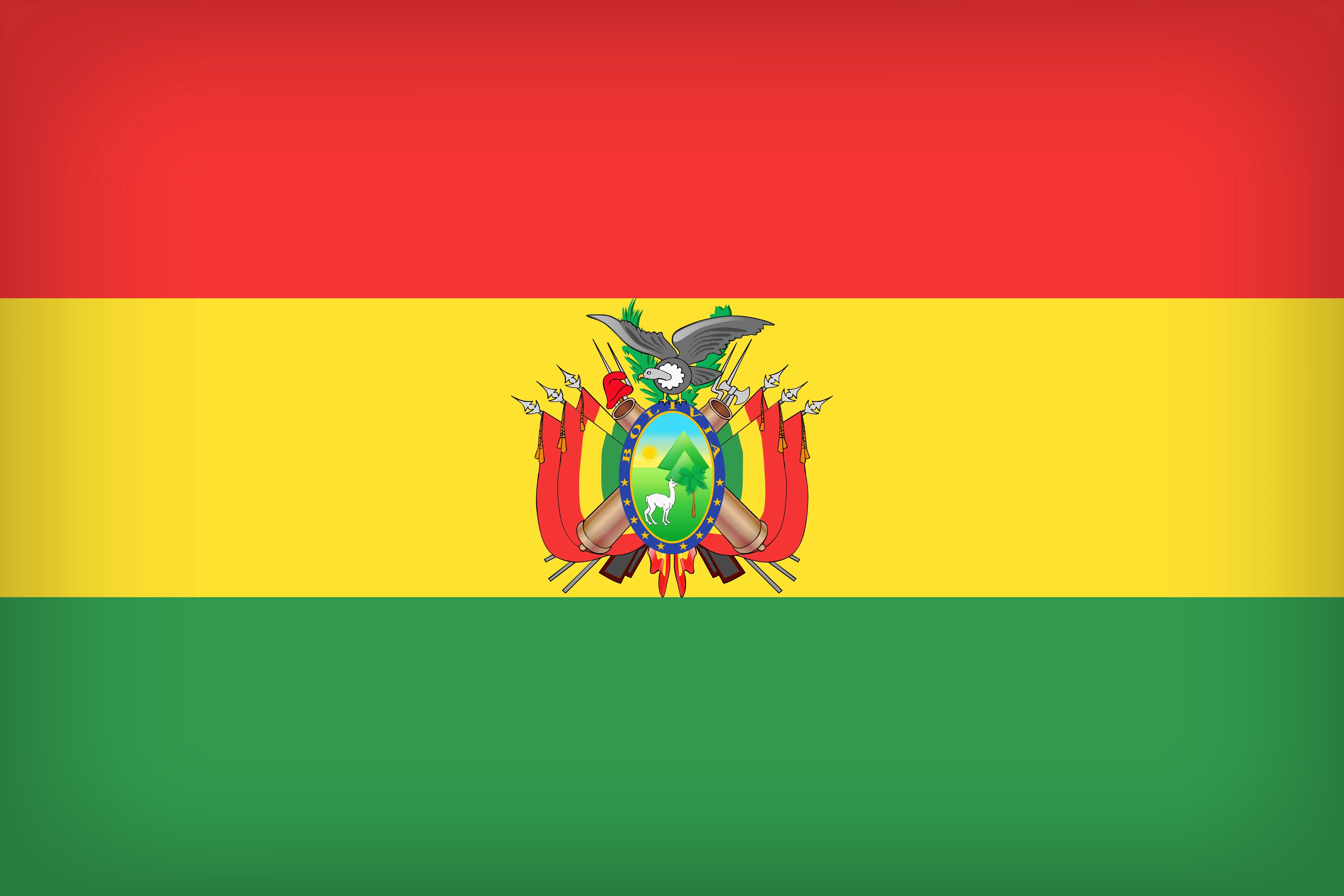 The National Flag of Bolivia by Paul Brennan
