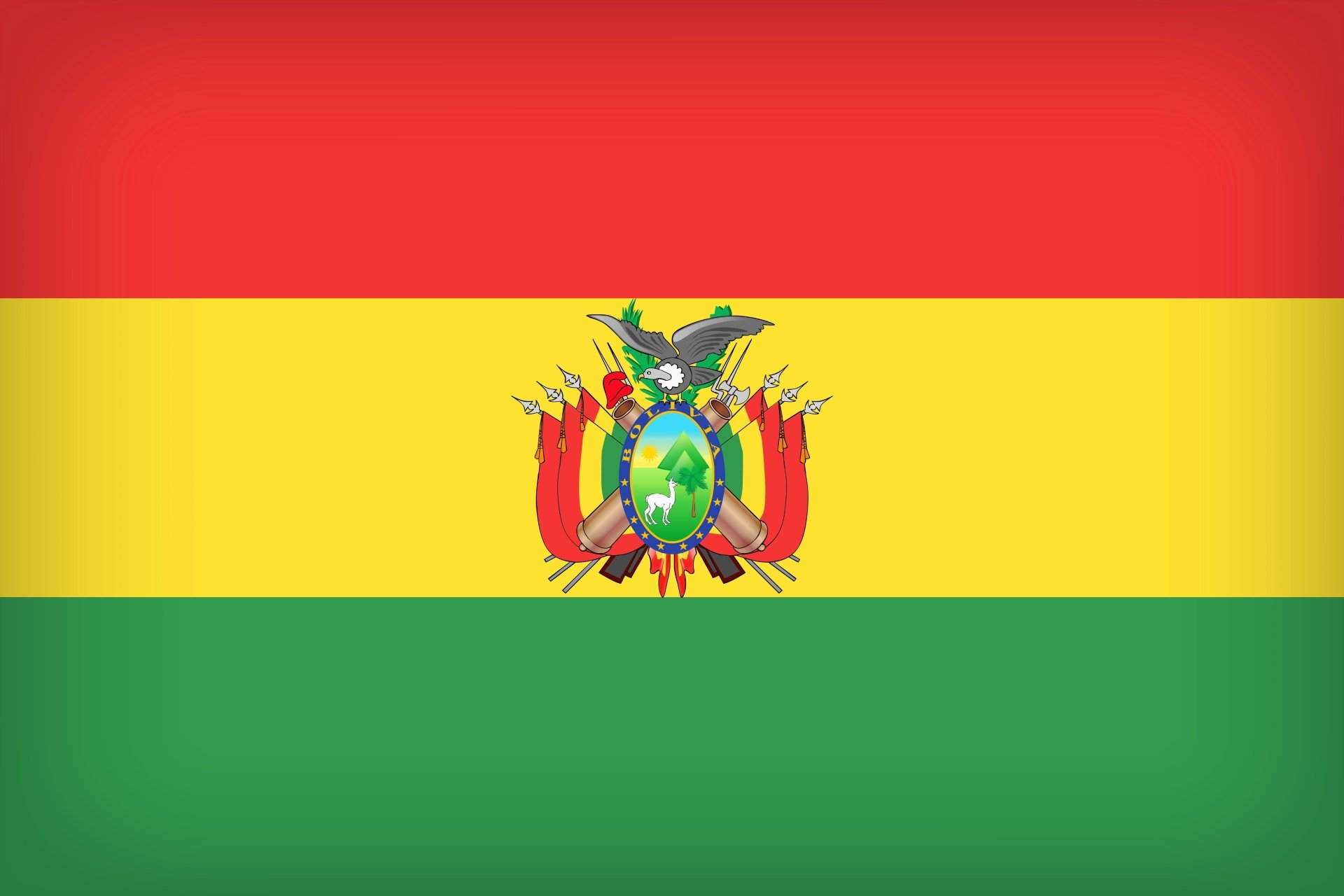 The National Flag Of Bolivia By Paul Brennan