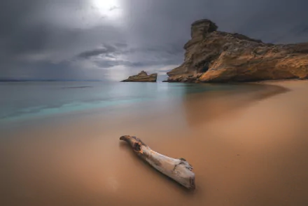 A serene coastal scene with driftwood on sandy beach, calm ocean water, rocky formations, and a cloudy horizon. Nature's tranquility captured in HD, serving as a breathtaking desktop wallpaper.
