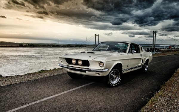 Vehicles Shelby GT350 Ford Car Silver Car Muscle Car Ford Shelby GT350 Fastback HD Wallpaper | Background Image