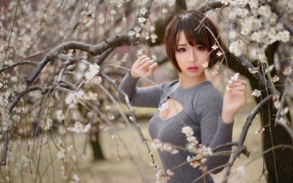 Women Asian Model Lipstick Depth Of Field Brunette Short Hair Brown Eyes Blossom Spring Sakura HD Wallpaper | Background Image