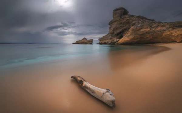 A serene coastal scene with driftwood on sandy beach, calm ocean water, rocky formations, and a cloudy horizon. Nature's tranquility captured in HD, serving as a breathtaking desktop wallpaper.
