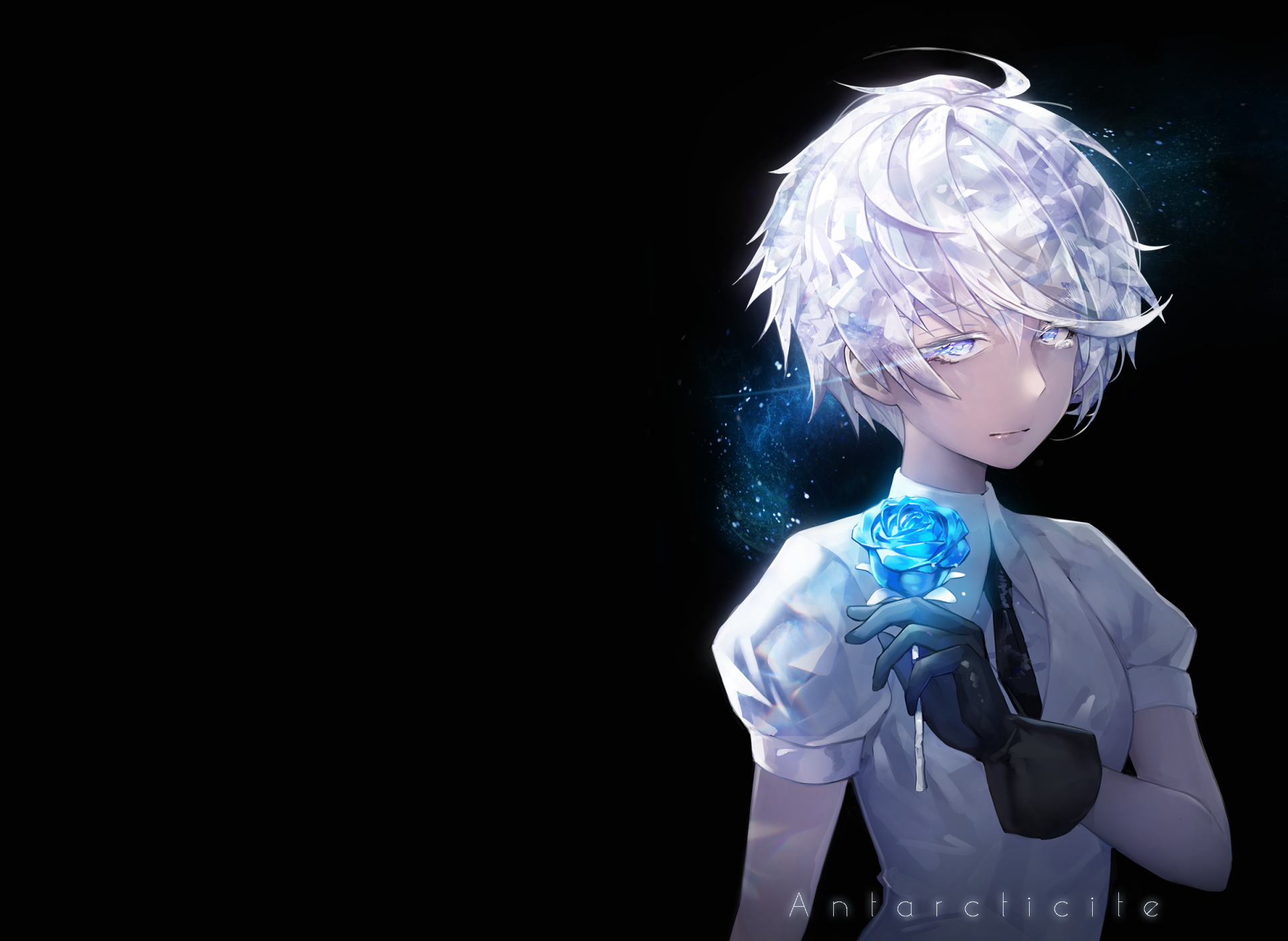 HD wallpaper of Antarcticite from the anime Land of the Lustrous, featuring the character with short, white hair holding a glowing blue rose against a dark background.