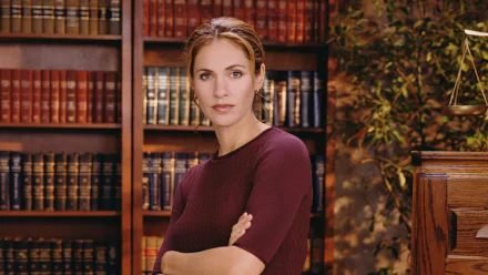 TV Show Judging Amy HD Desktop Wallpaper | Background Image