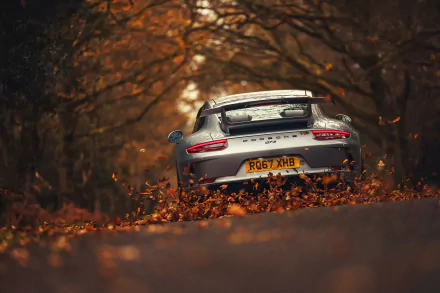 Rear view of a silver Porsche 911 GT3 driving through a leaf-covered forest road in autumn, captured in stunning 4K Ultra HD for a PC desktop wallpaper.