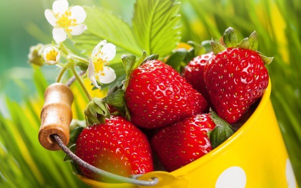 Food Strawberry Fruits Berry Fruit HD Wallpaper | Background Image